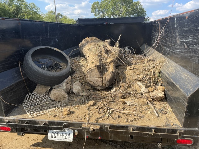 Trailer loaded with tree removal debris